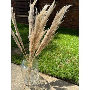 Decorative Glass Jar - 14" Tall - Vase - Terrarium - Apothecary Glass Jar